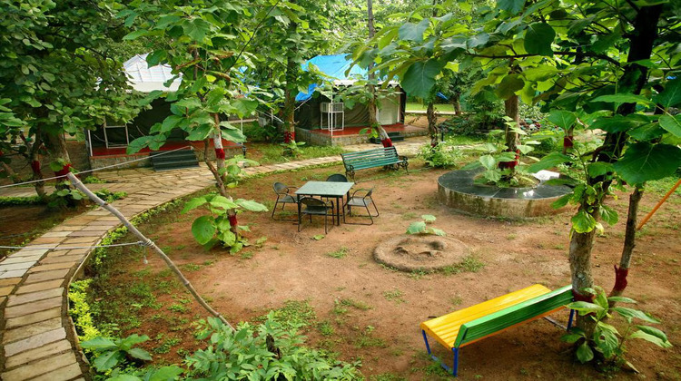 MPT jungle camp, panna seeting area