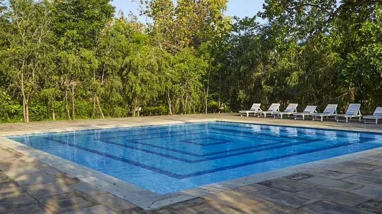 bandhavvilas-swimming-pool