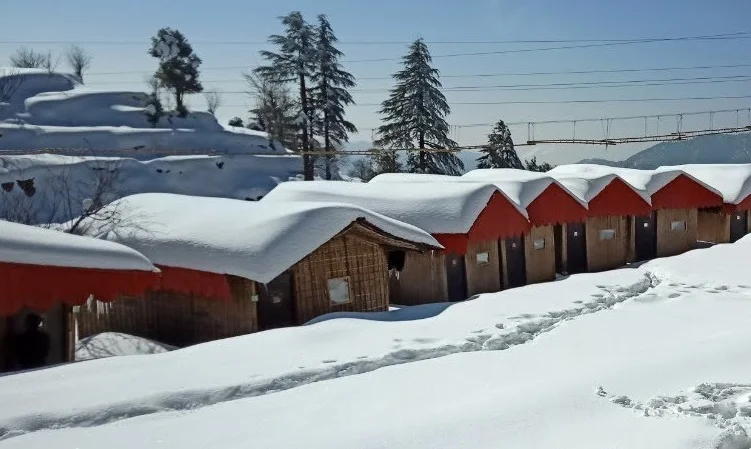 himalayan-roots-kanatal-snowfall