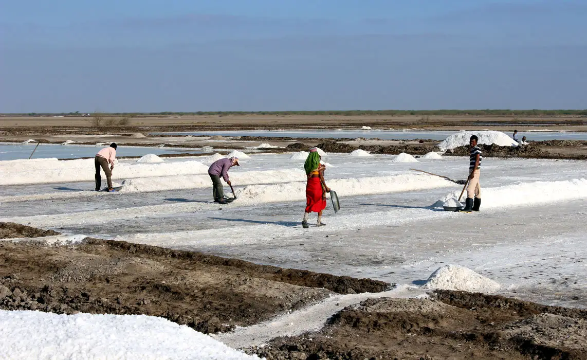 salt-farming-in-little-rann-of-kutch