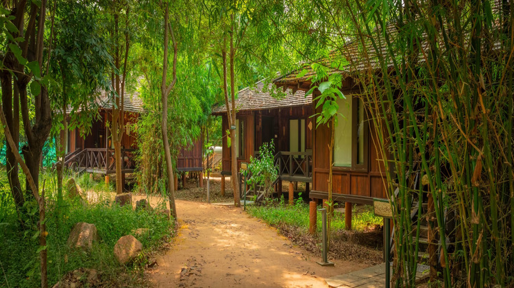 tendu leaf jungle resort room