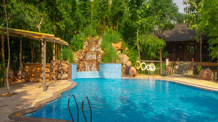 tendu leaf jungle resort swimming pool