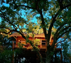 tree-house-hideaway