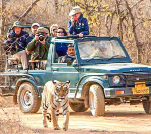 Panna-Tiger-Safari