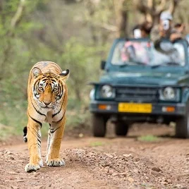 ranthambore-tiger-reserve