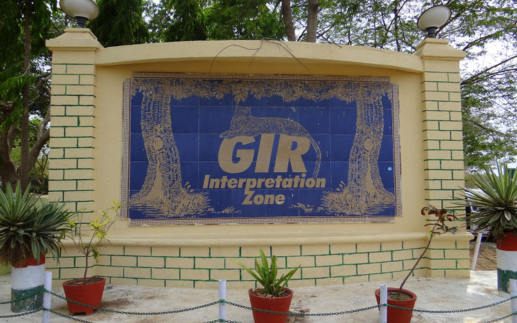 When Was Gir National Park Established
